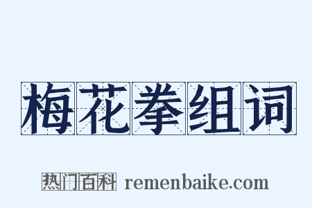 梅花拳组词是什么意思的图片